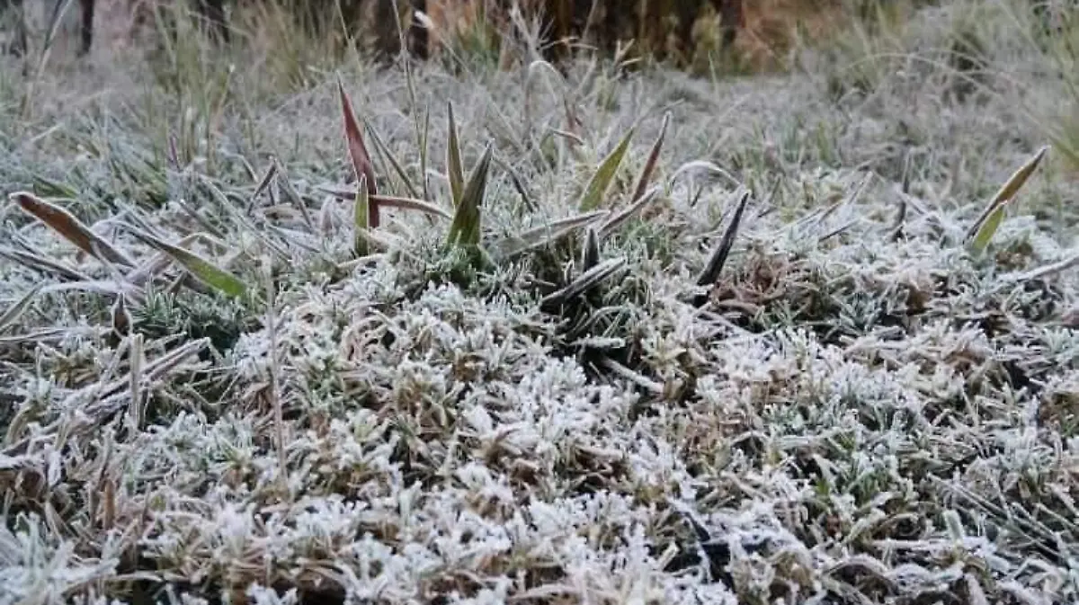 frio guerrero1